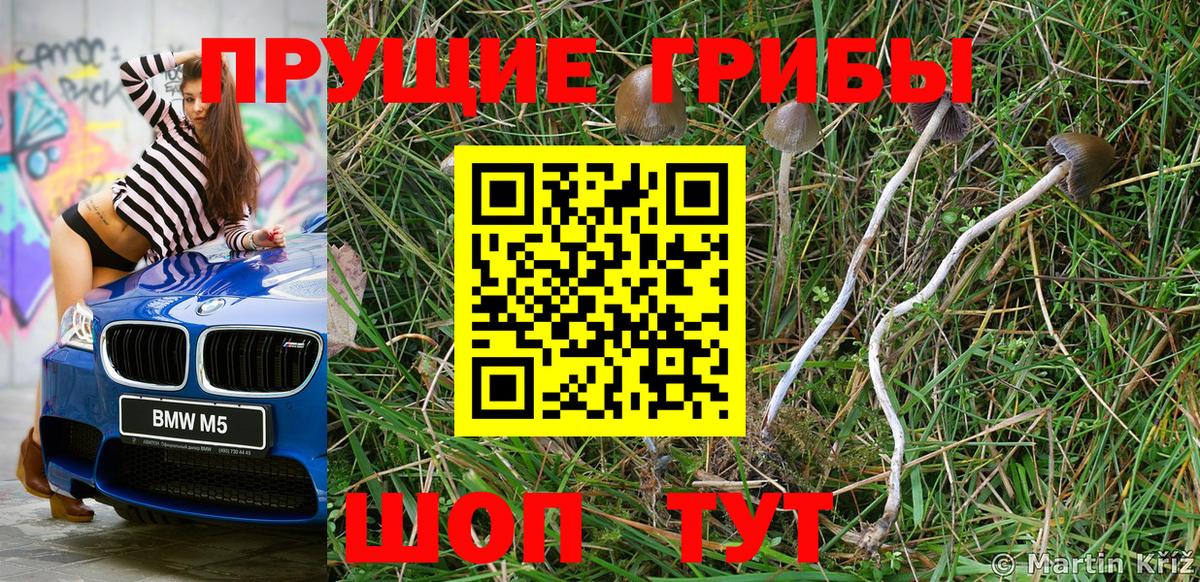 Галлюциногенные грибы Cubensis  Псилоцибиновые грибы мицелий  Вход с VPN  Краснодар 