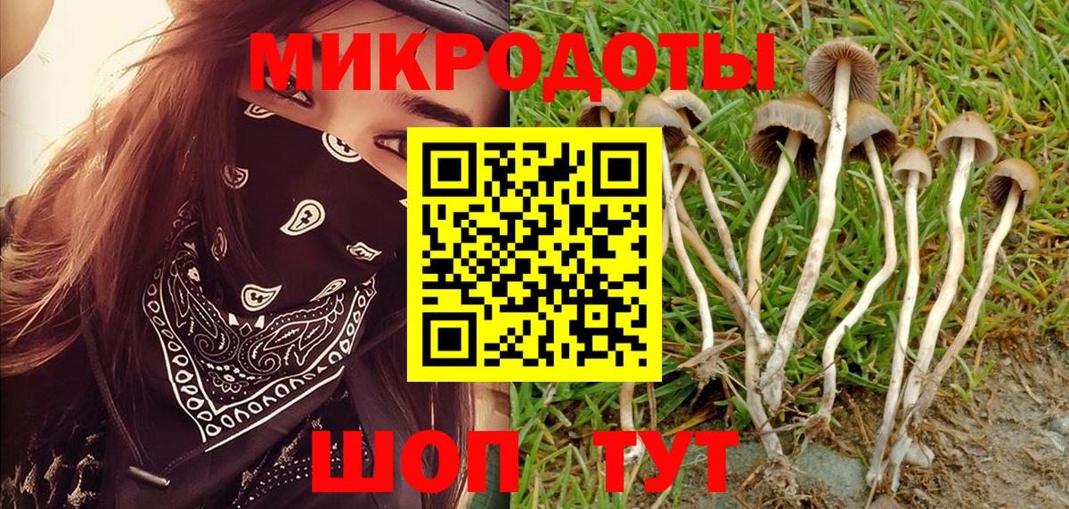 Псилоцибиновые грибы GOLDEN TEACHER Краснодар